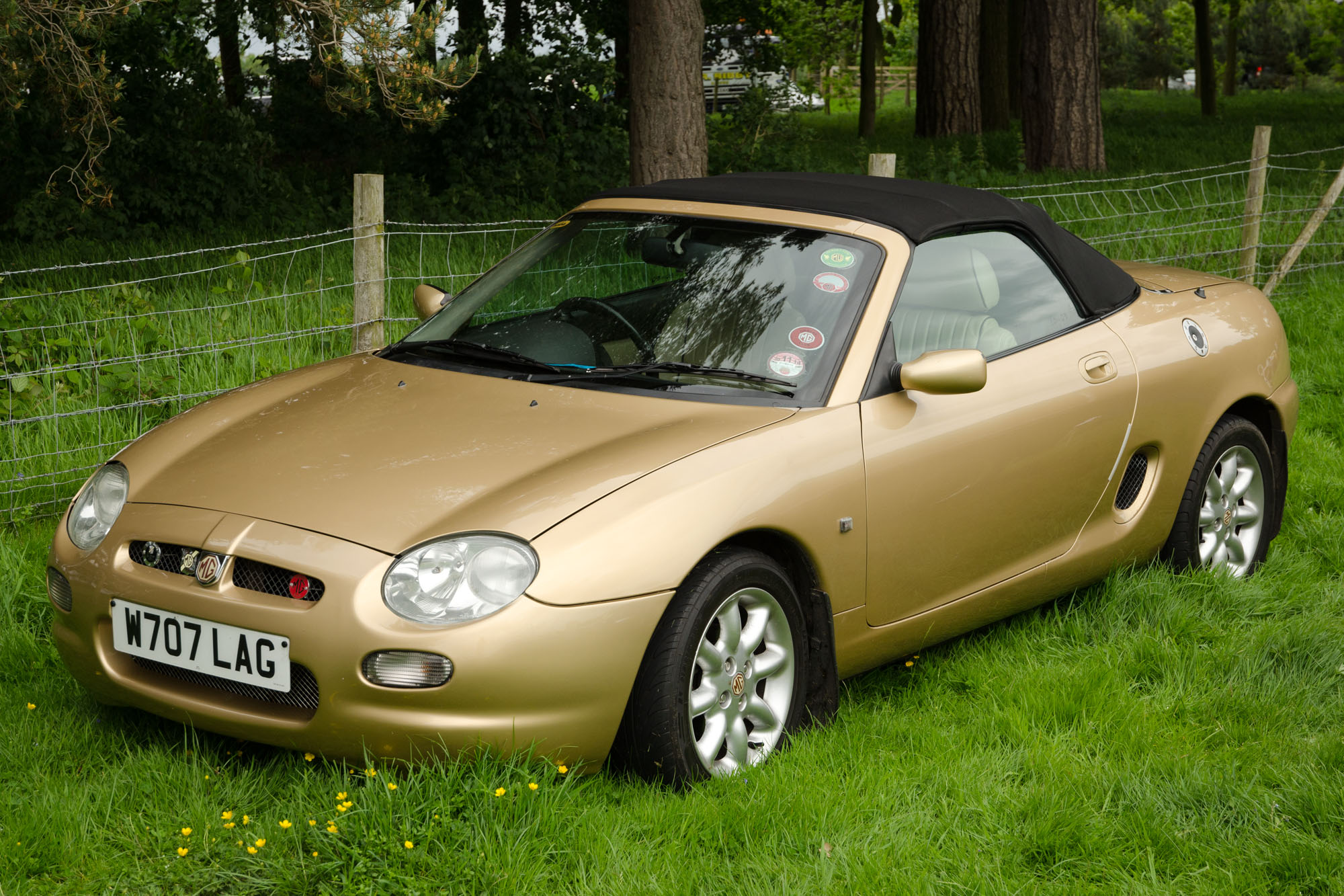 MG TF 115